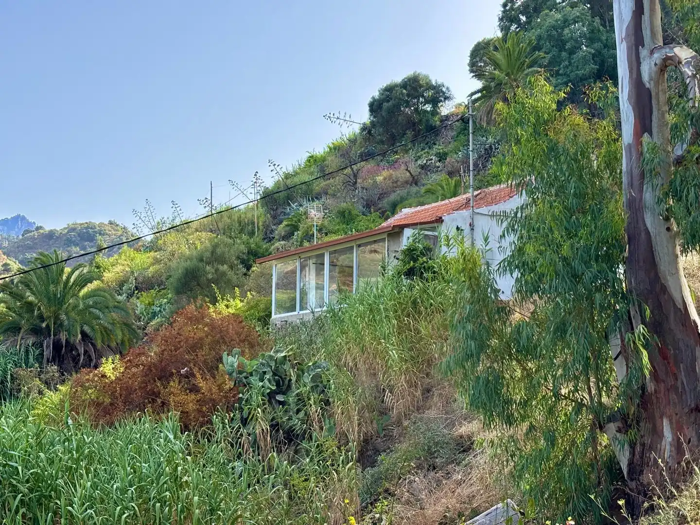 Vista exterior de Finca rústica en venda en Santa Brígida amb Rentadora