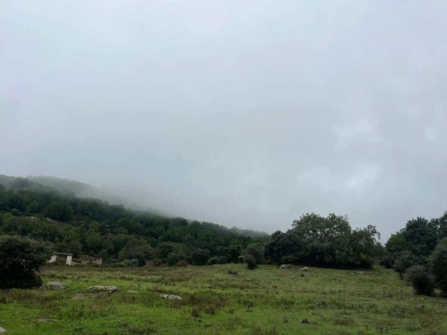 Grundstücke zum Verkauf in Lanzahíta