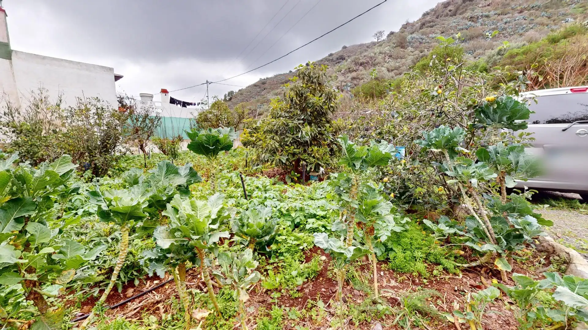 Finca rústica en venda en Santa Brígida amb Terrassa, Traster i Piscina