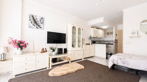 Foto 5 de Estudio en venta en Avenida Gamonal, Parque de la Paloma, Benalmádena