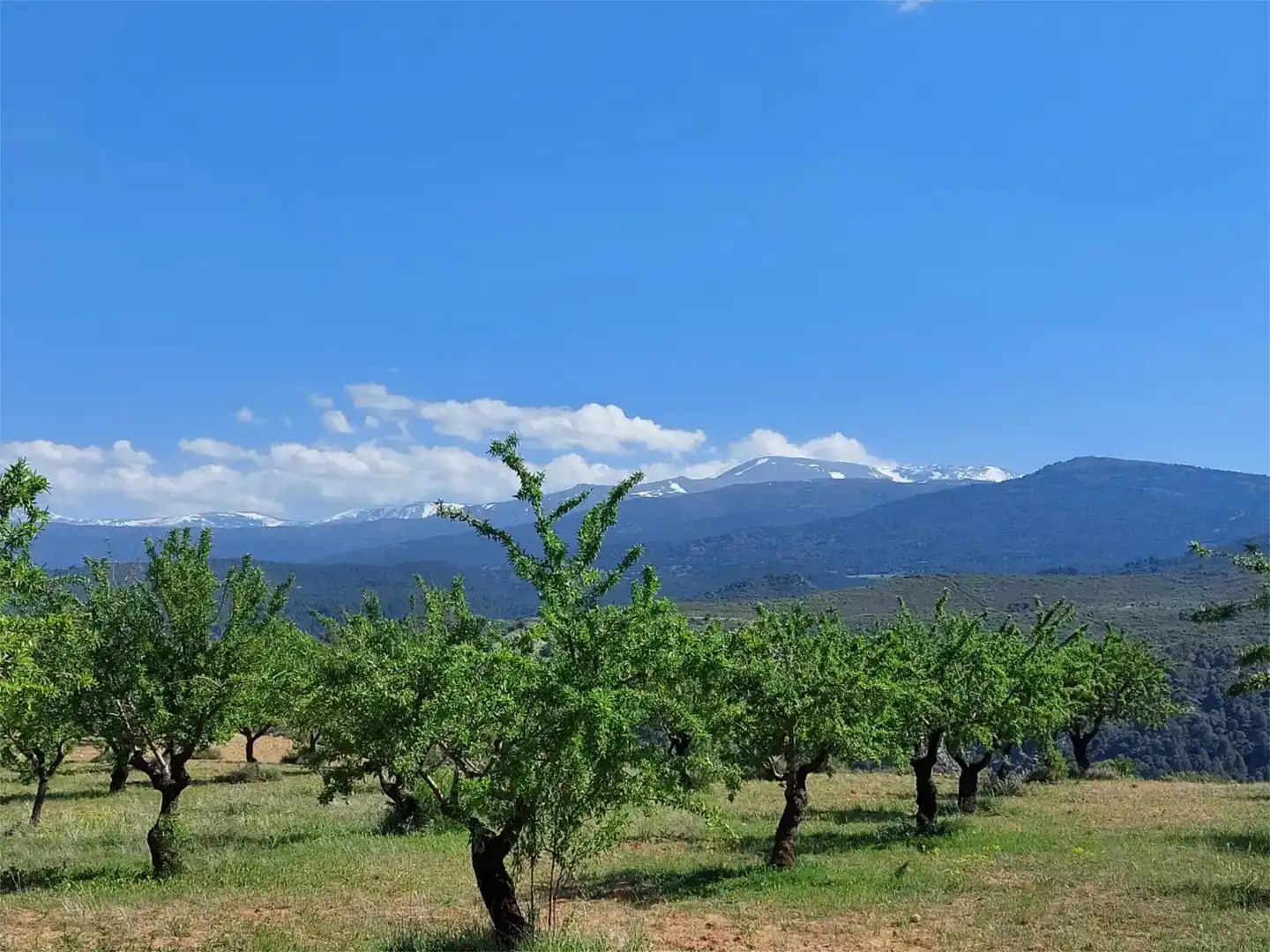 Finca rústica en venda en La Peza