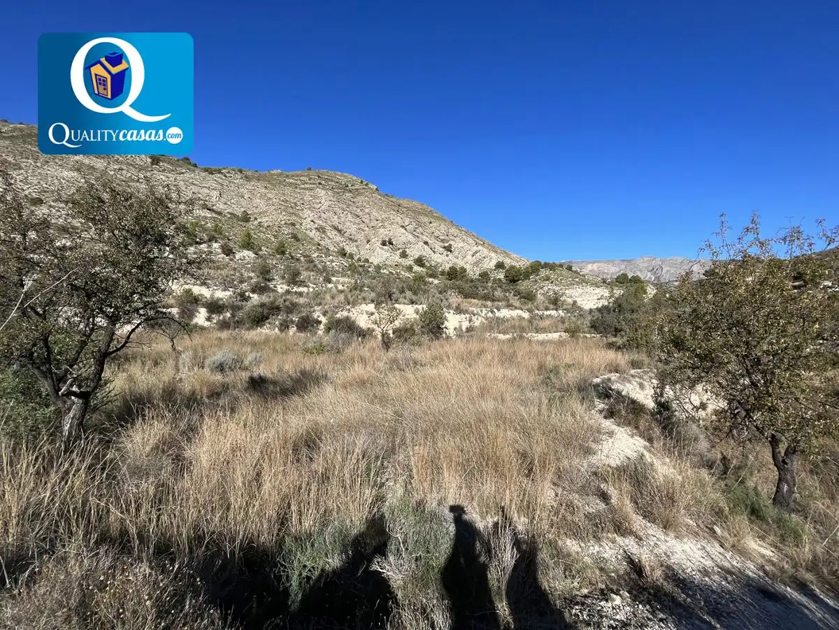 Terrenos y solares en venta en Orxeta, imagen 6