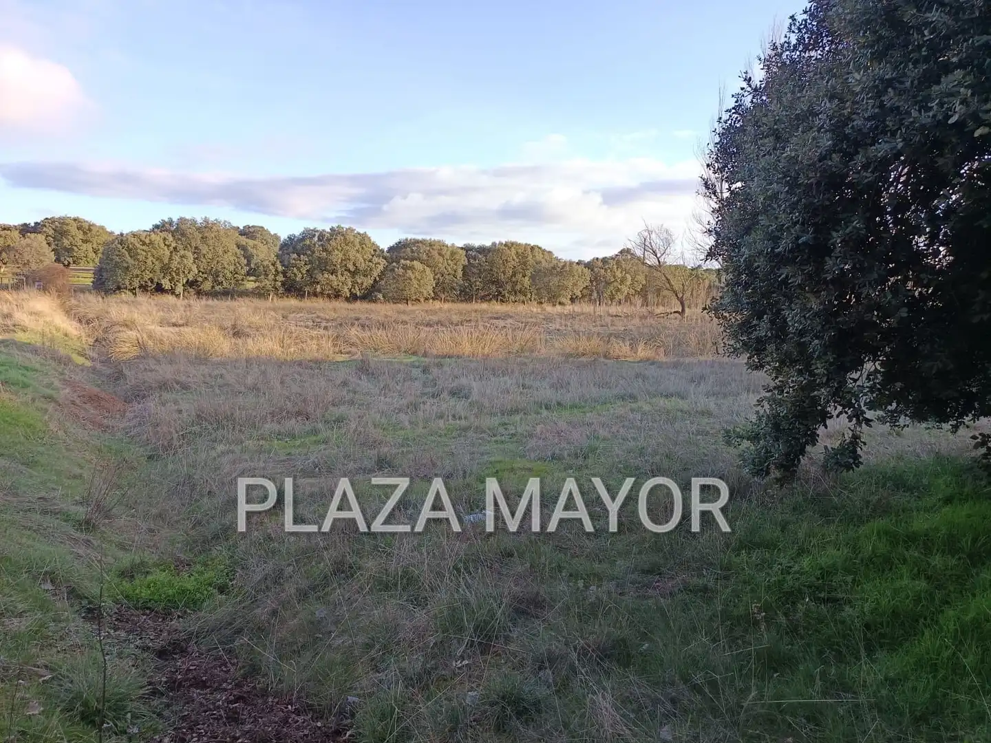 Rural land for sale in Calvarrasa de Arriba, imagen 4