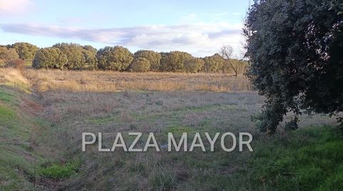4422 PARCELA RUSTICA EN URBANIZACION LOS PERALES, imatge 4