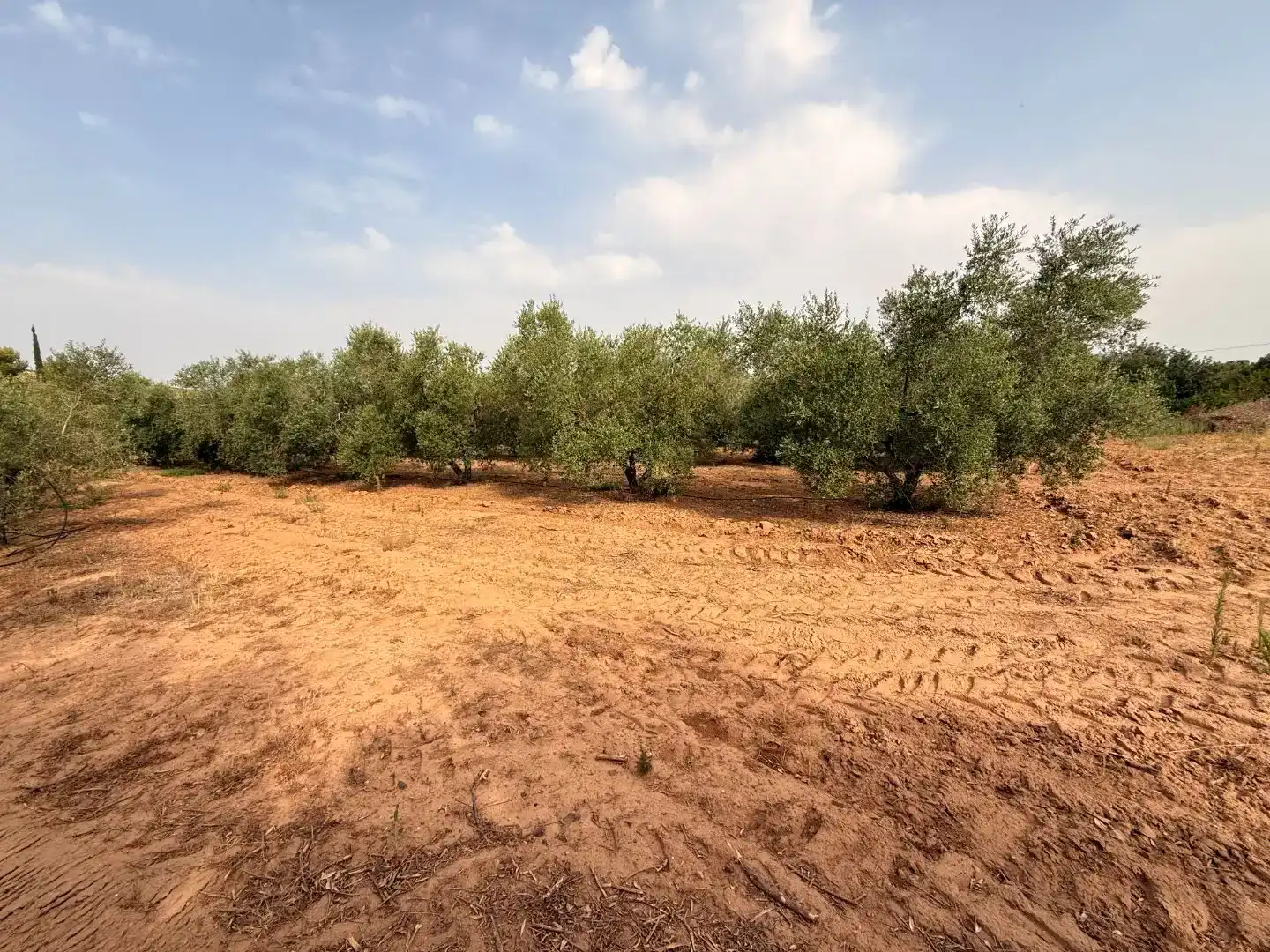 Finca rústica en venda en Vinyols i els Arcs amb Moblat