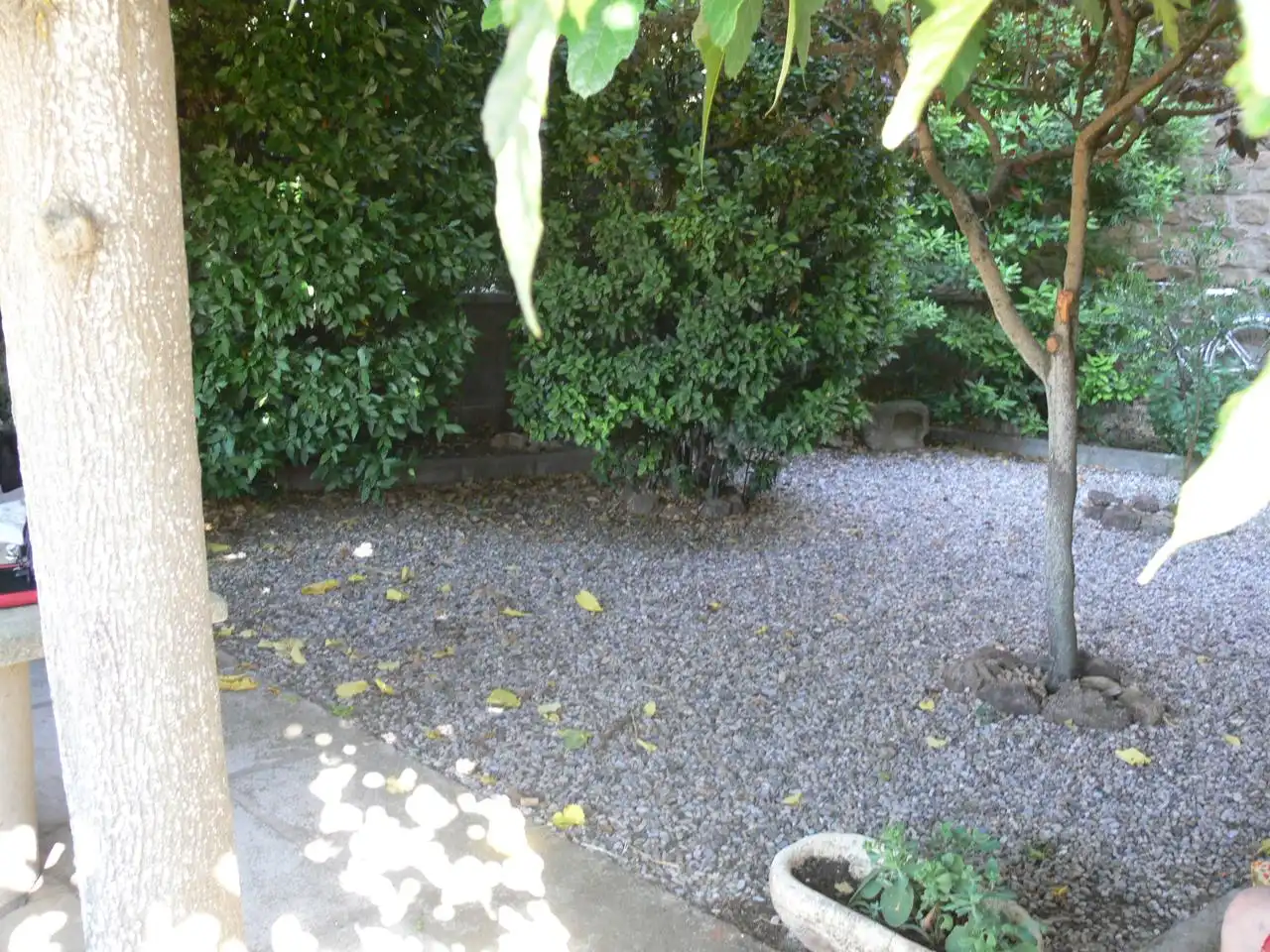 Jardí de Finca rústica en venda en Guissona amb Calefacció, Jardí privat i Terrassa