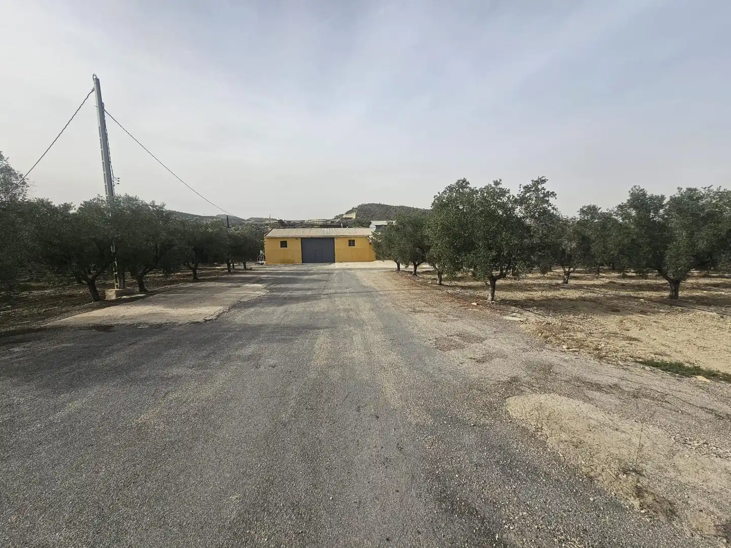 Rural land for sale in Desamparados - Hurchillo - Torremendo, imagen 9