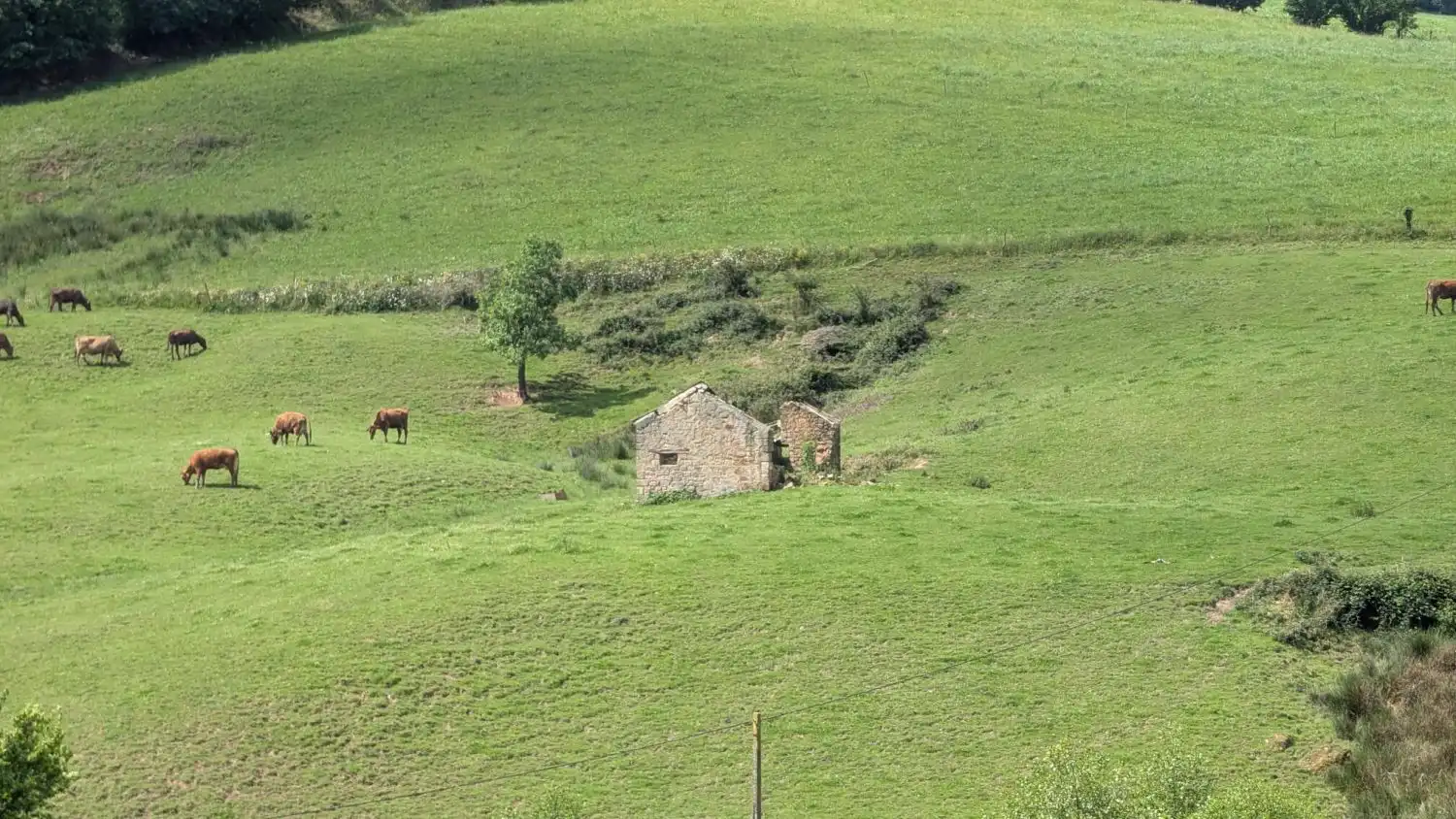 Country homes for sale in Piélagos