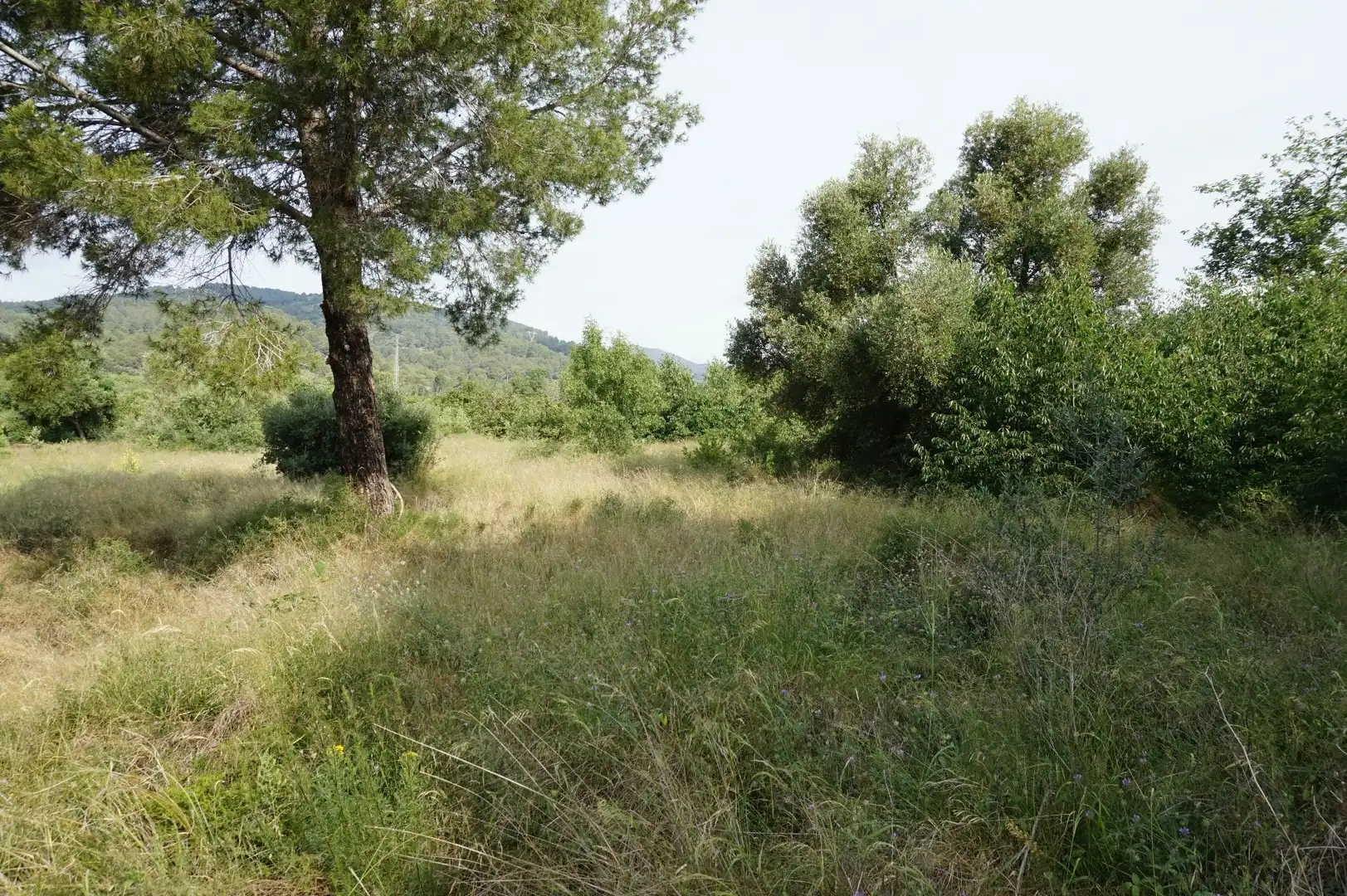 Maison rustique à vendre à Les Borges del Camp, imagen 19