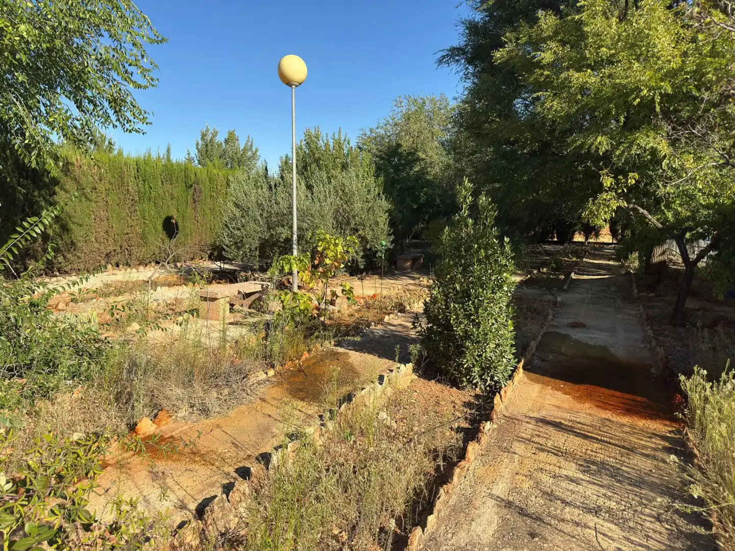 Casa rústica en venda a Valdepeñas, imagen 3
