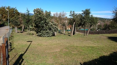 Terreny a mas llunés, immagine 4