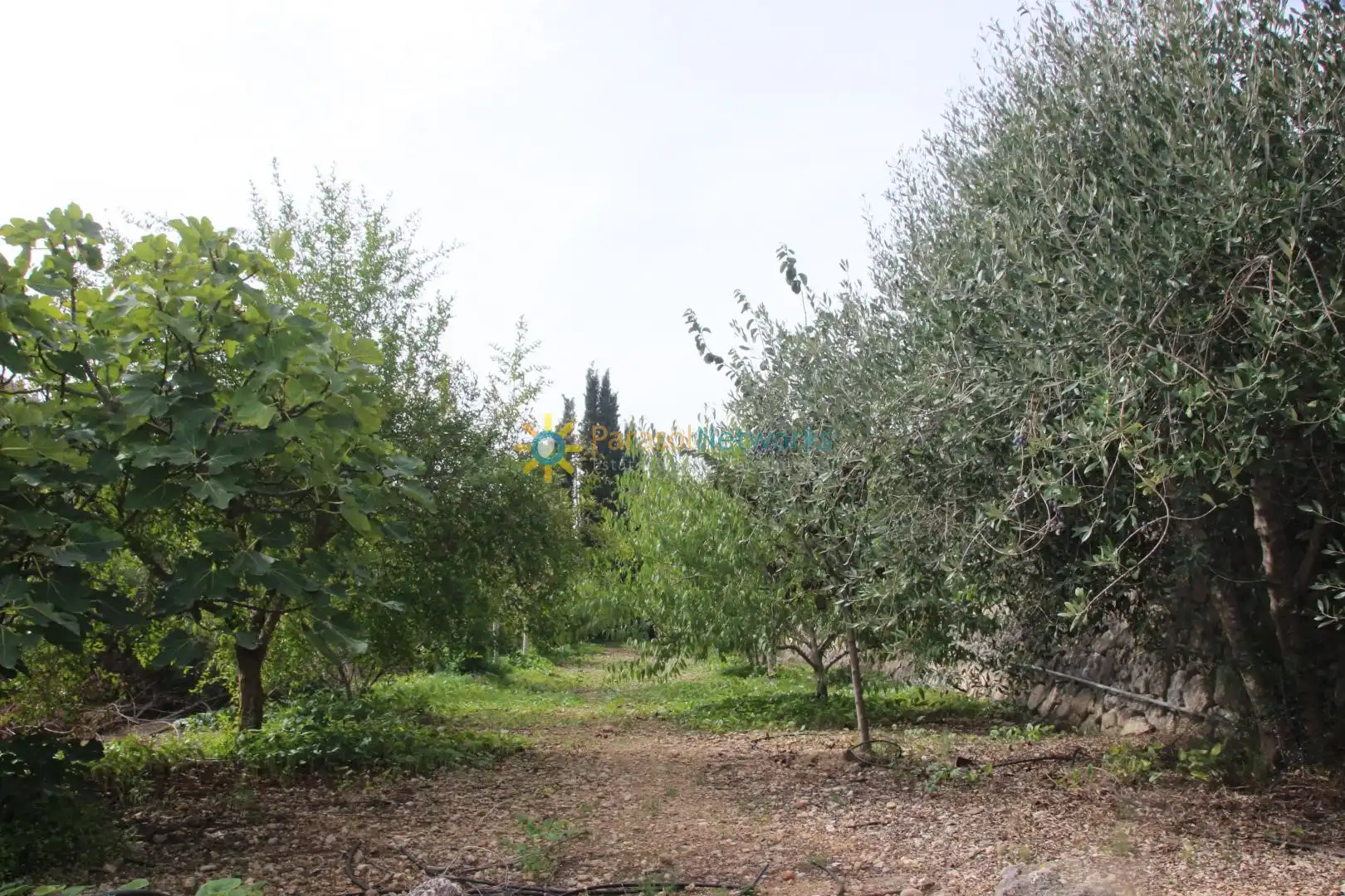 Casa o chalet en venta en Llocnou de Sant Jeroni con Jardín privado, Terraza y Trastero