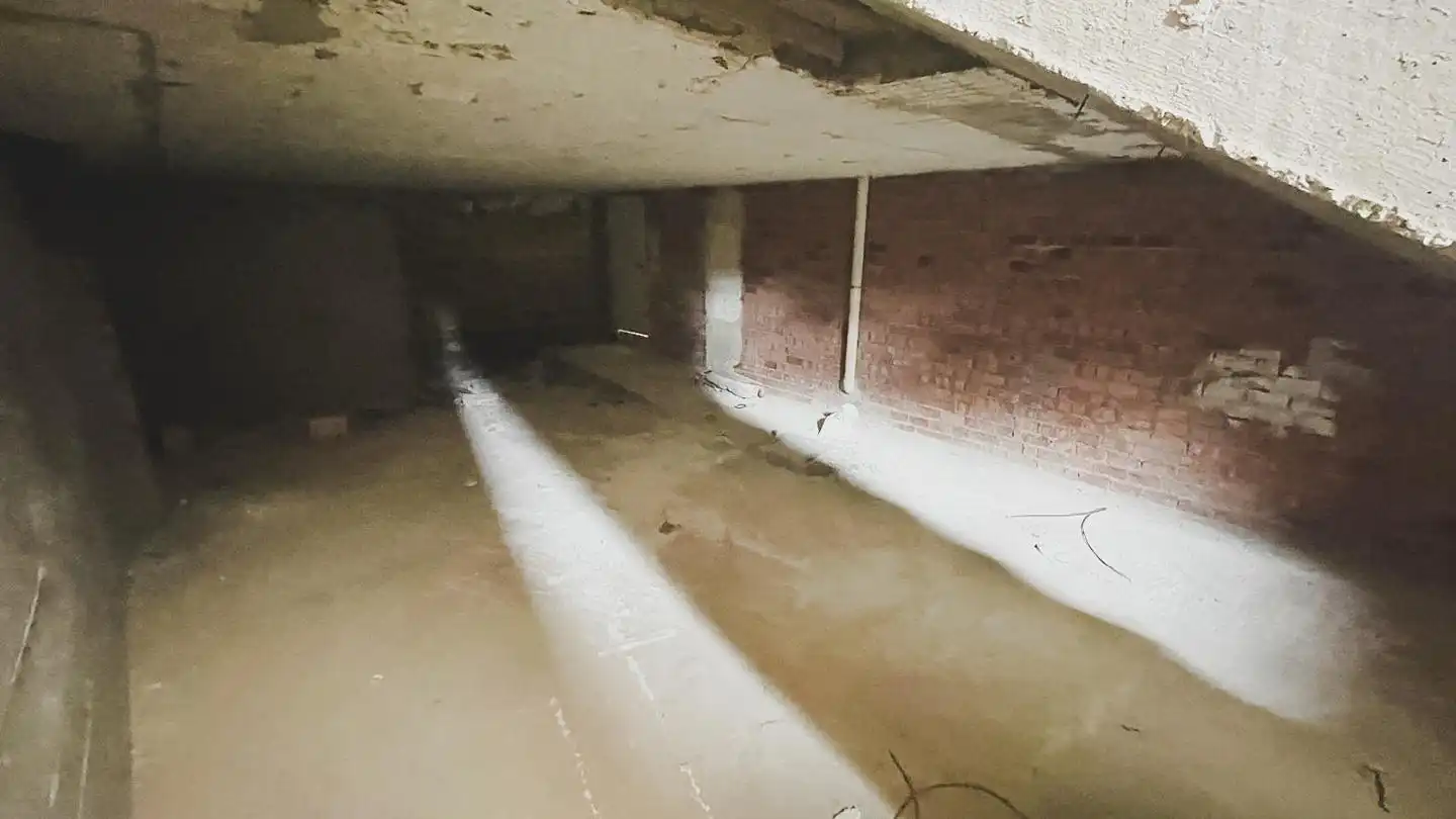 Local comercial en alquiler en El Pópulo - Santa María, imagen 4