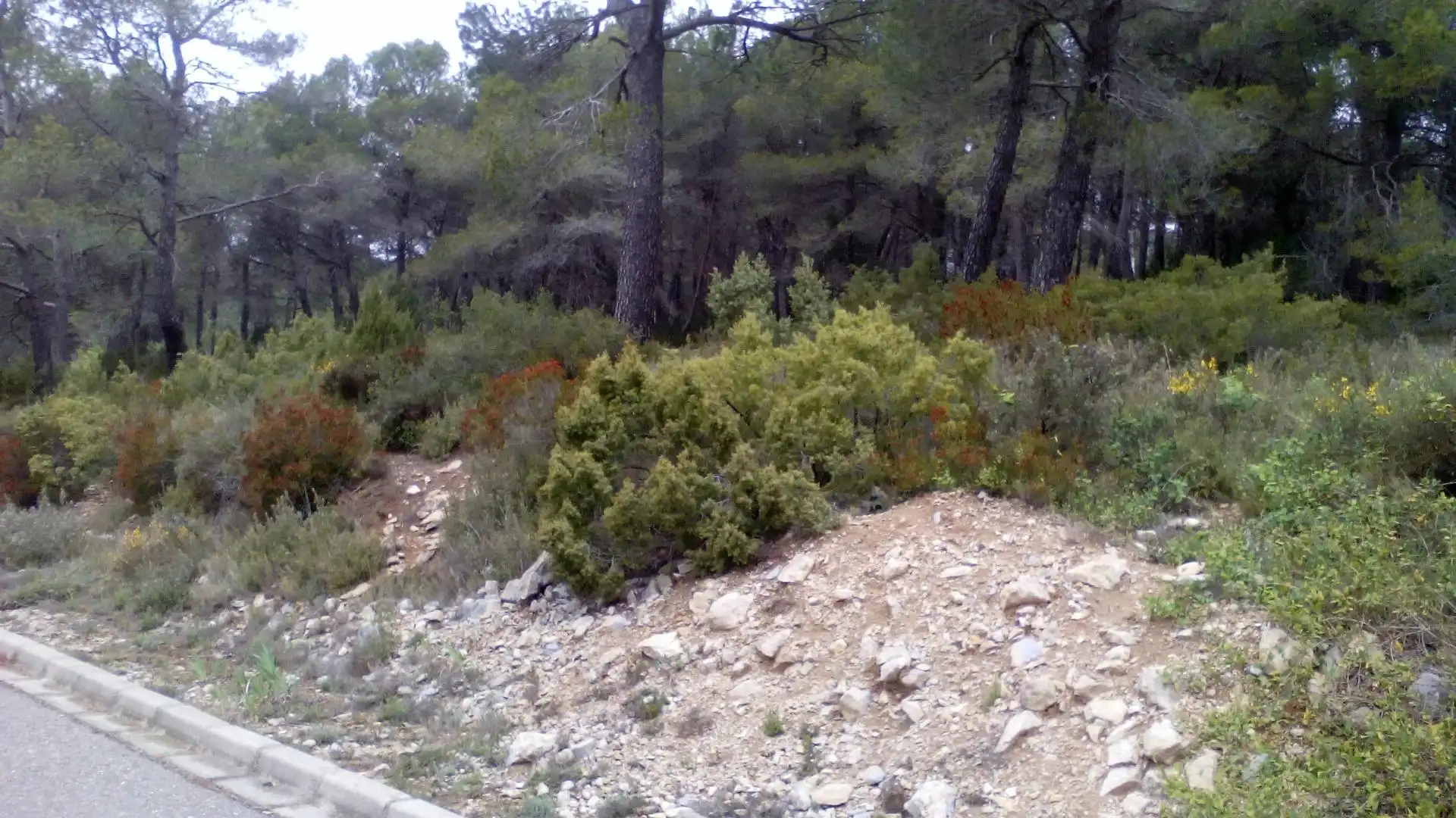 Terreni e lotti in vendita a Querol, imagen 4