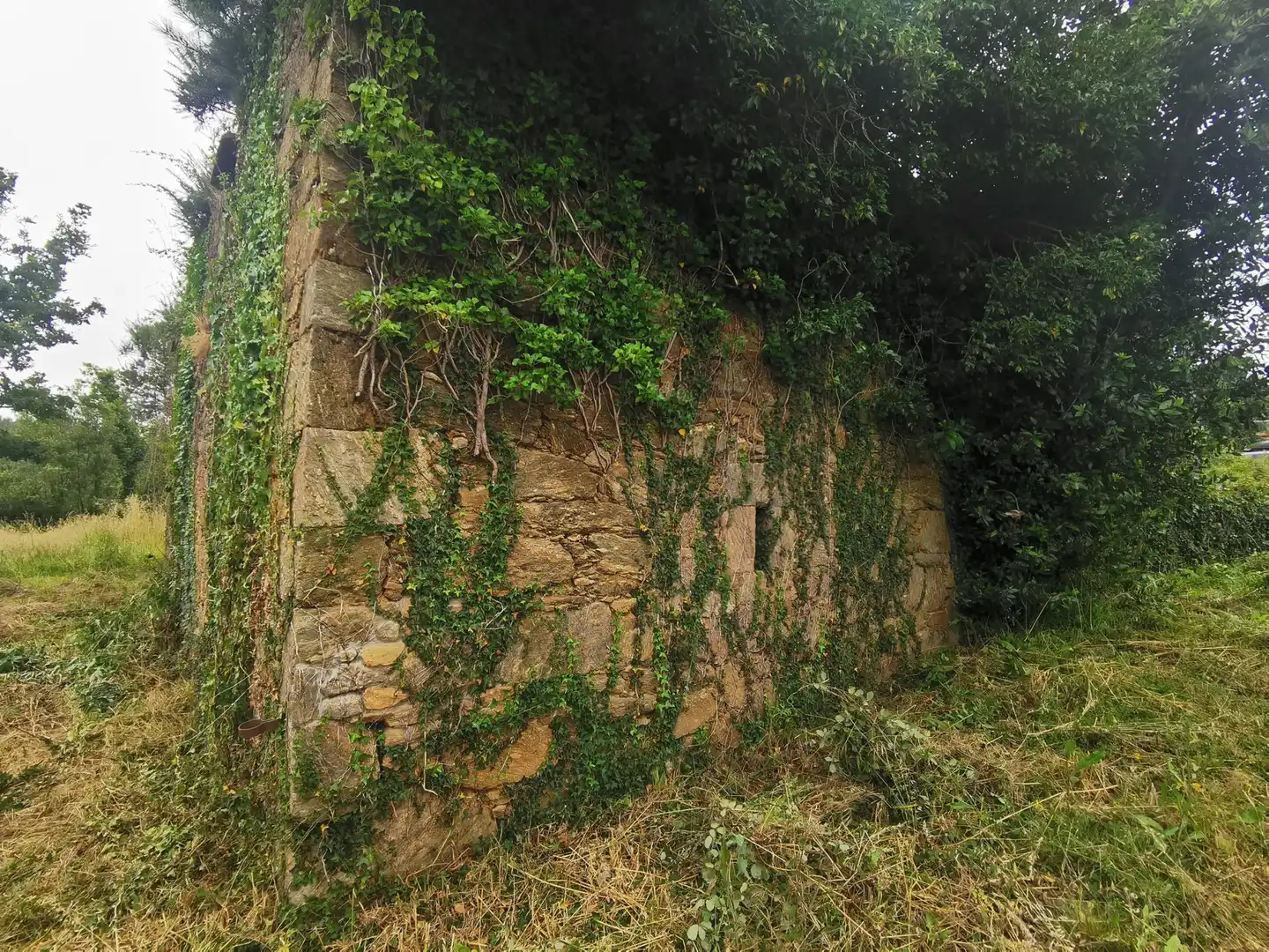 Terreni e lotti in vendita a Lugar CARRACHA, imagen 3