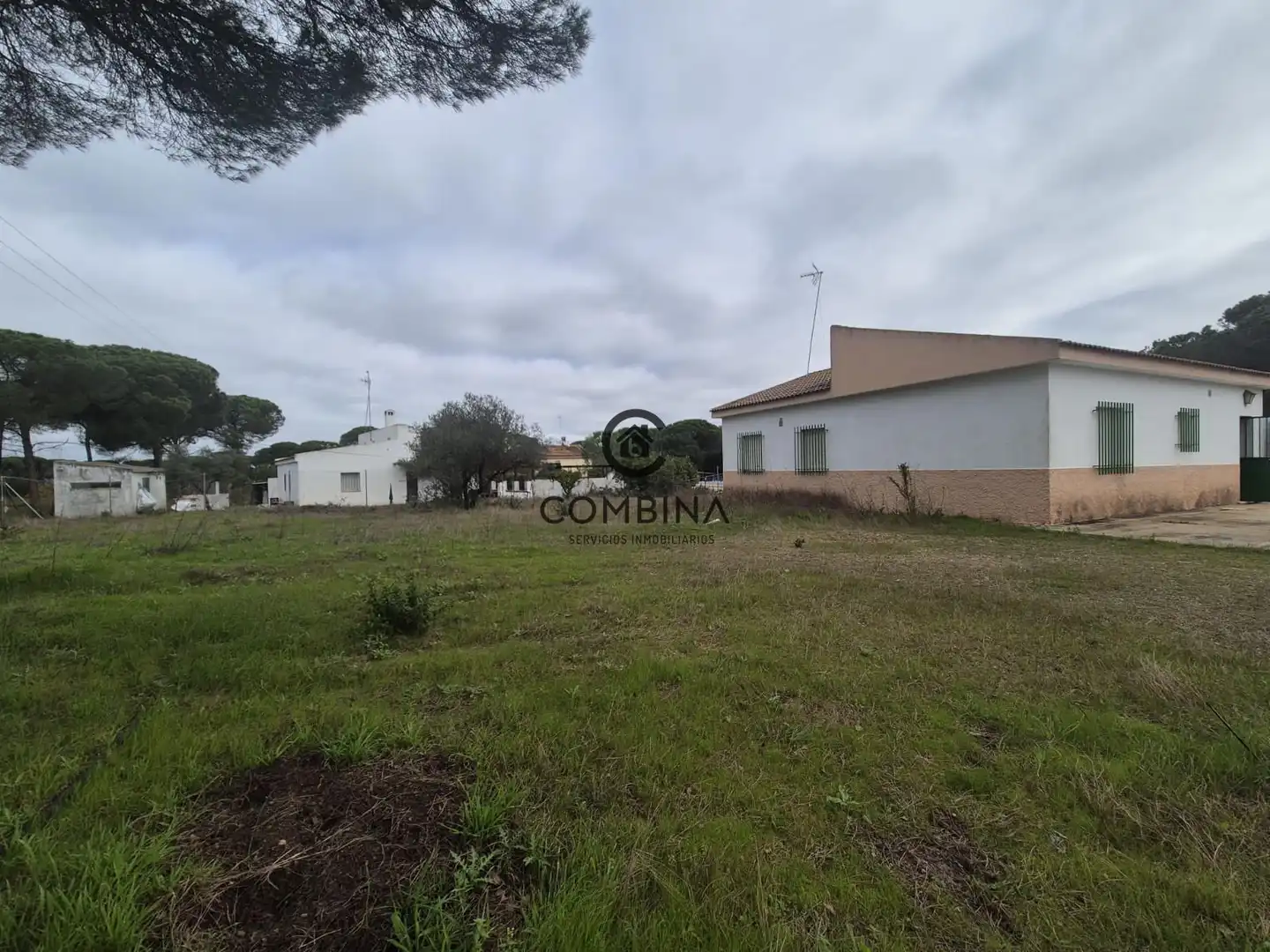 Terreny en venda en Bonares