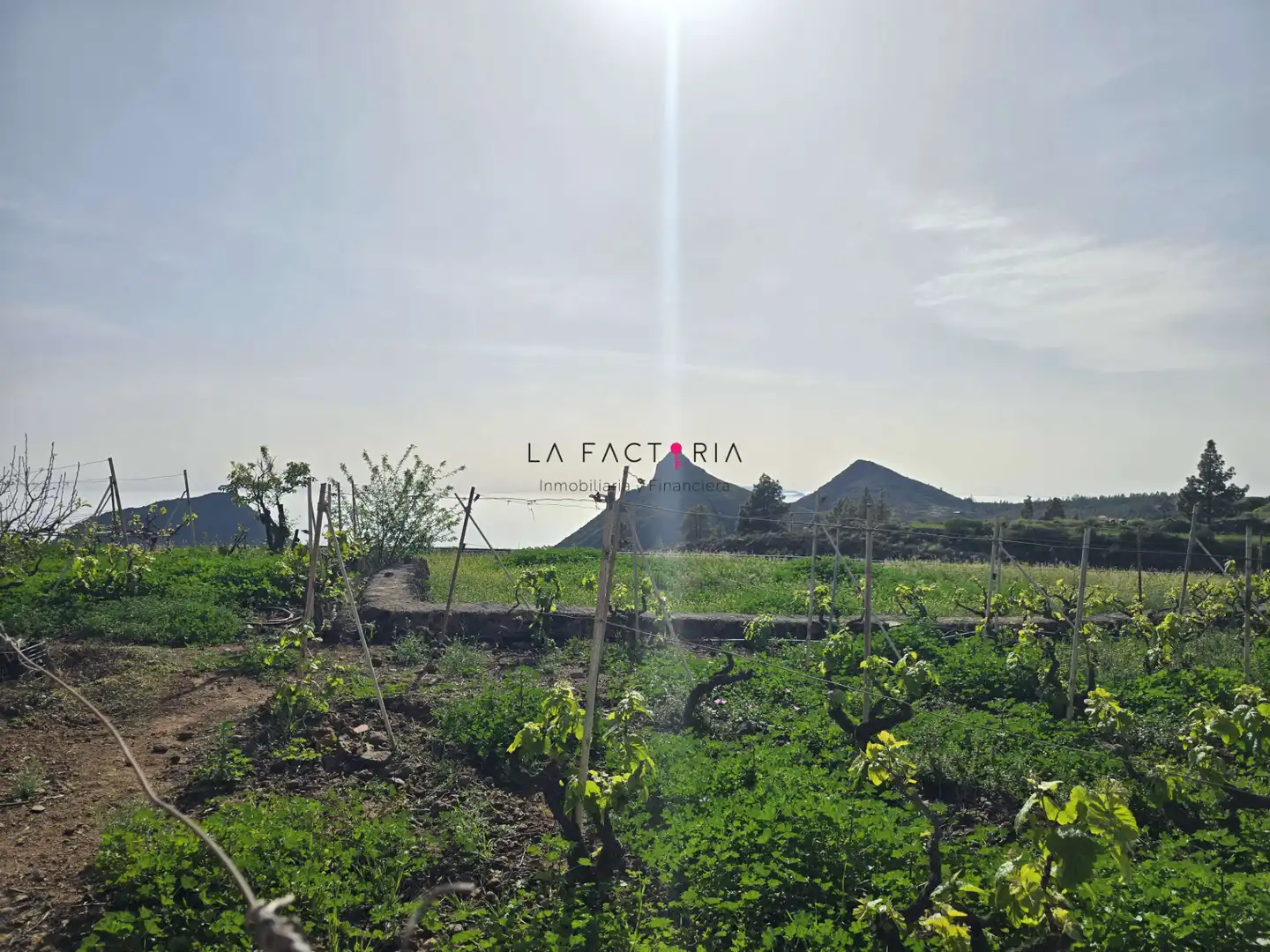 Terreno rústico en venta en Vilaflor de Chasna, imagen 22