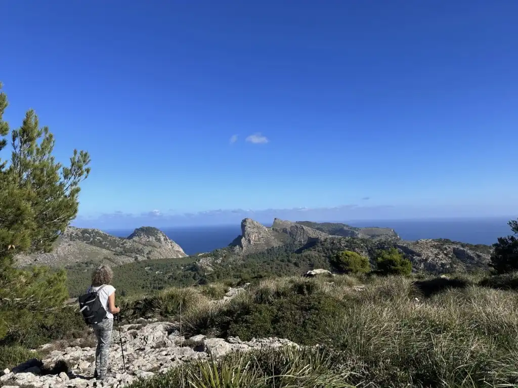 Vista exterior de Finca rústica en venda en Pollença amb Calefacció, Terrassa i Moblat