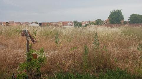 Photo 4 of Residential for sale in Calle Donantes de Sangre, 2a, Alameda de la Sagra, Toledo