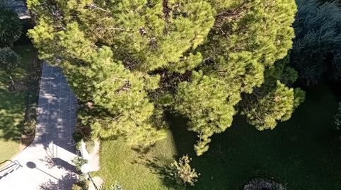 Photo 4 of Flat to rent in Santa Eufemia, Sevilla