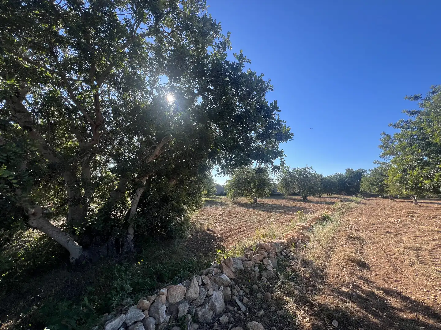 Country house zum Verkauf in Roda de Berà mit Klimaanlage, Heizung und Privatgarten