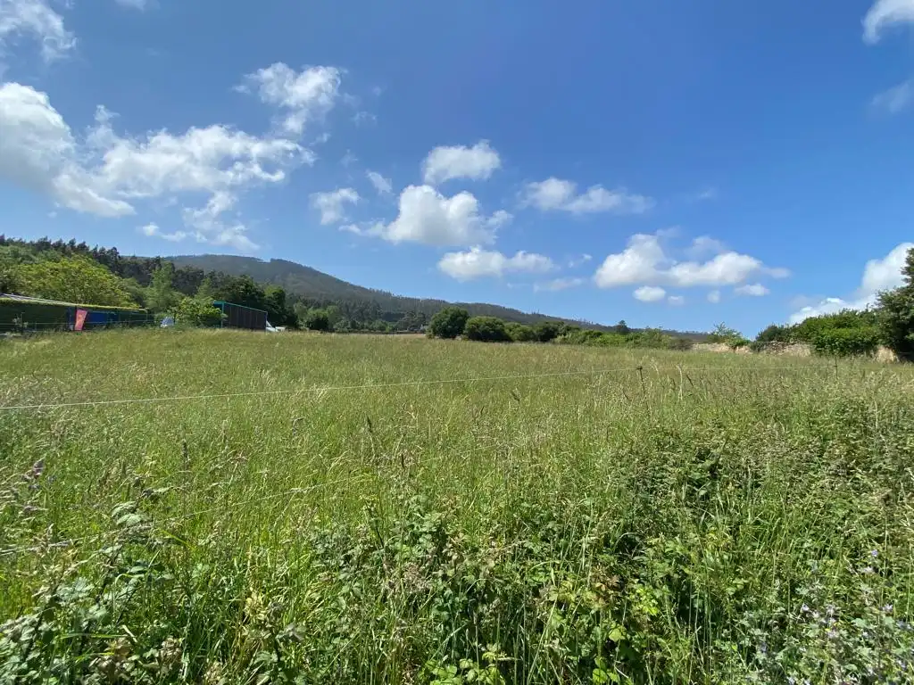 Terreni e lotti in vendita a 35. Parcela, imagen 5