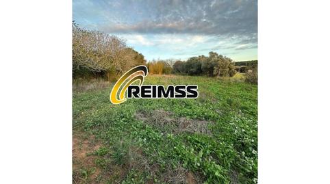 Photo 2 of House or chalet for sale in Llafranc, Girona