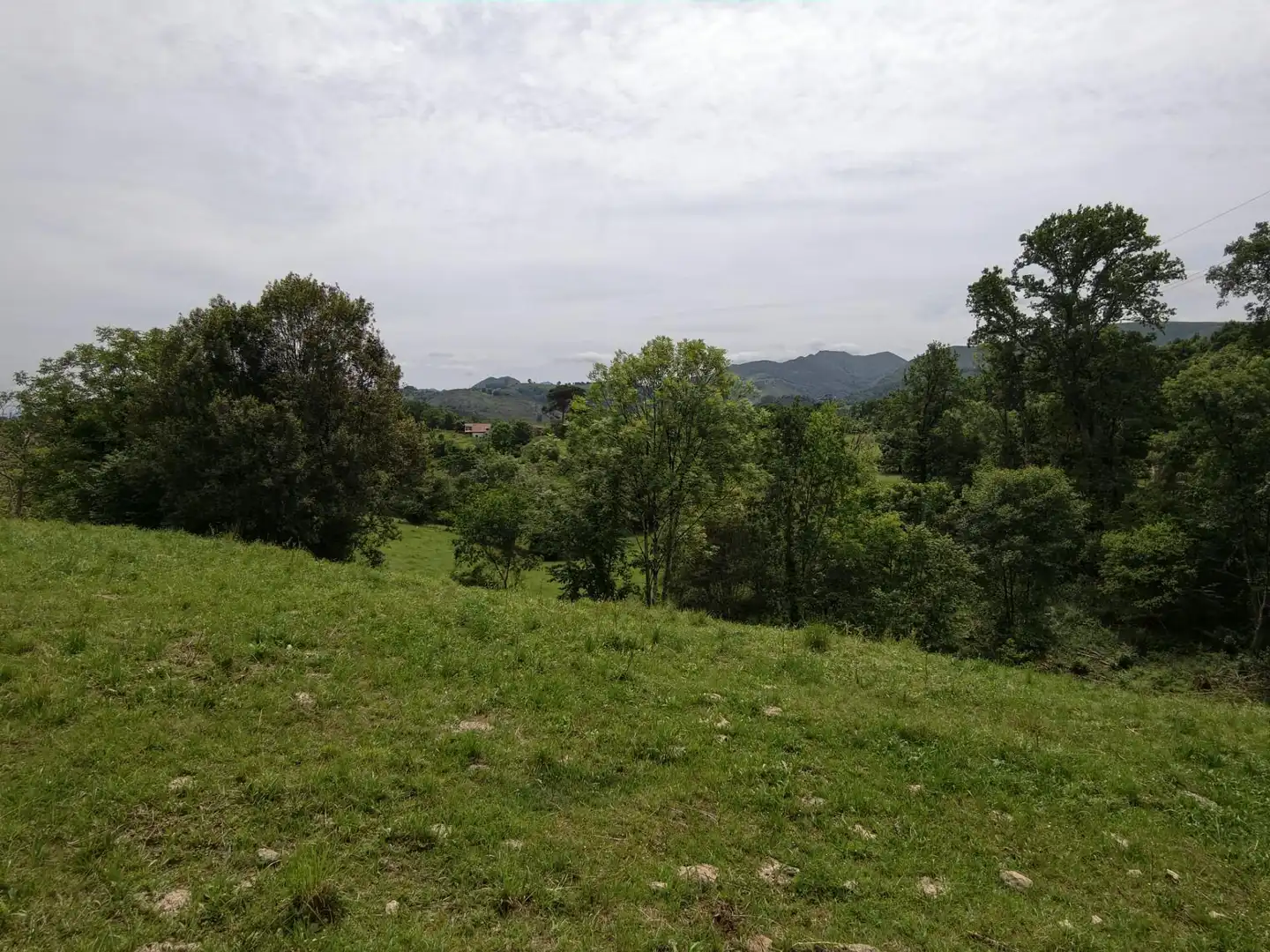 Grundstücke und Bauplätze zum Verkauf in Piloña, imagen 3