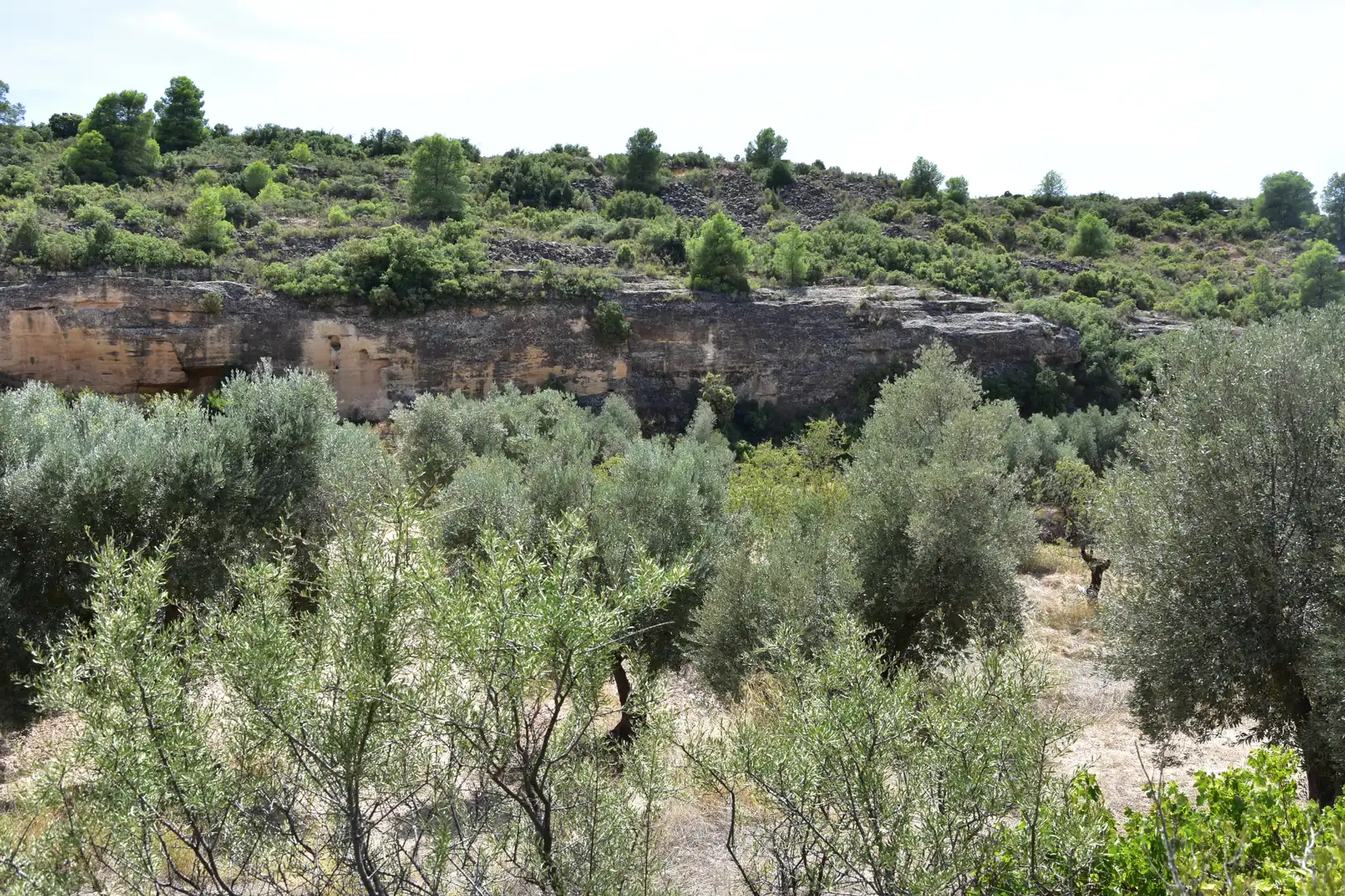 Terreni e lotti in vendita a Valdealgorfa, imagen 4