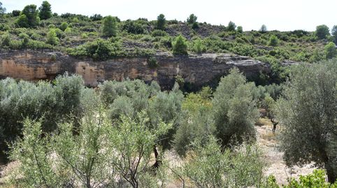 Finca rústica con maset en Valdealgorfa, immagine 4