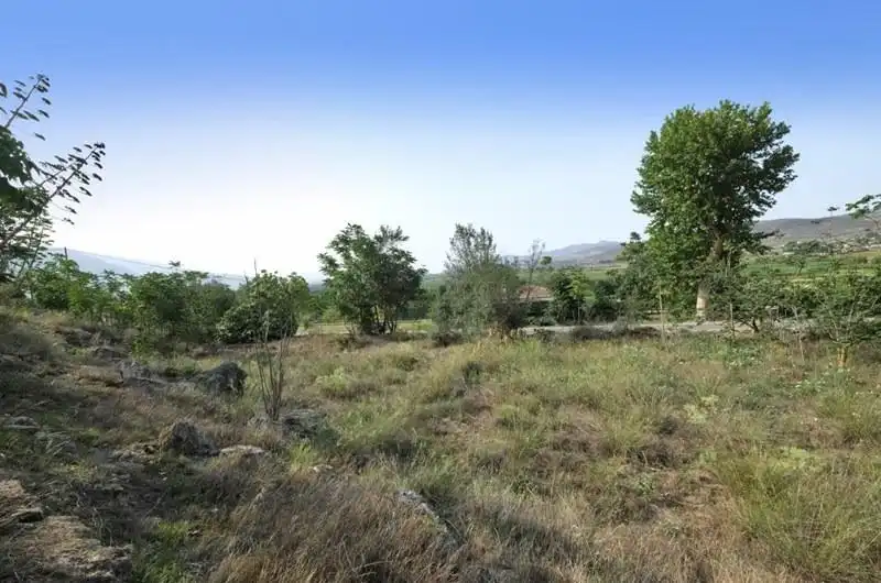 Casa rústica en venda a Padul, imagen 17