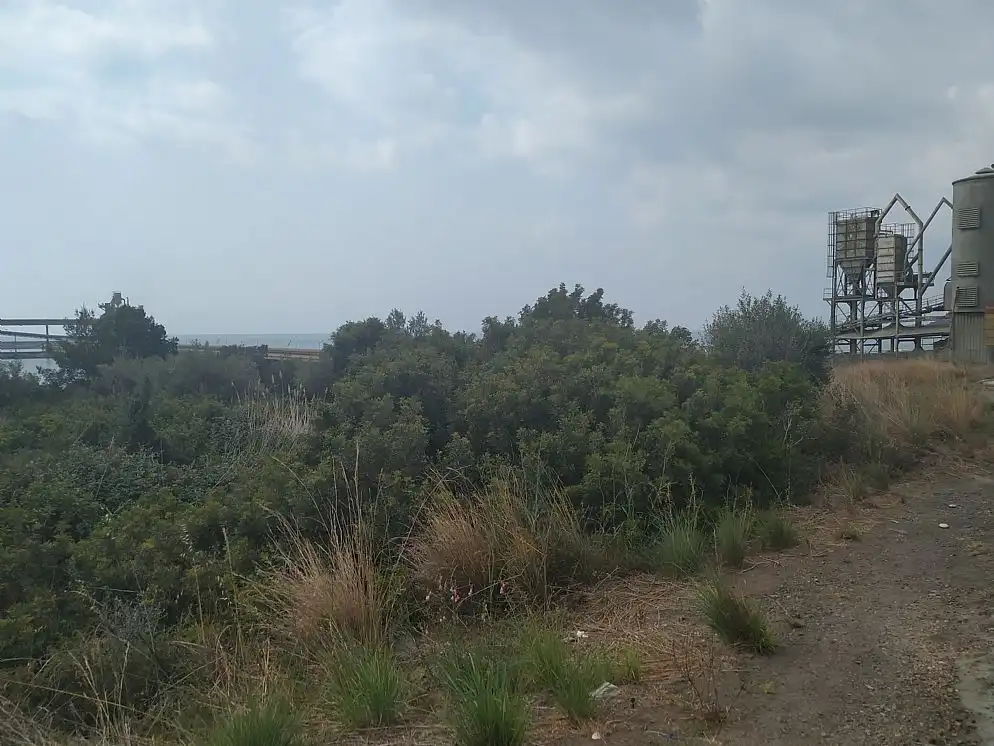 Land for sale in Alcanar