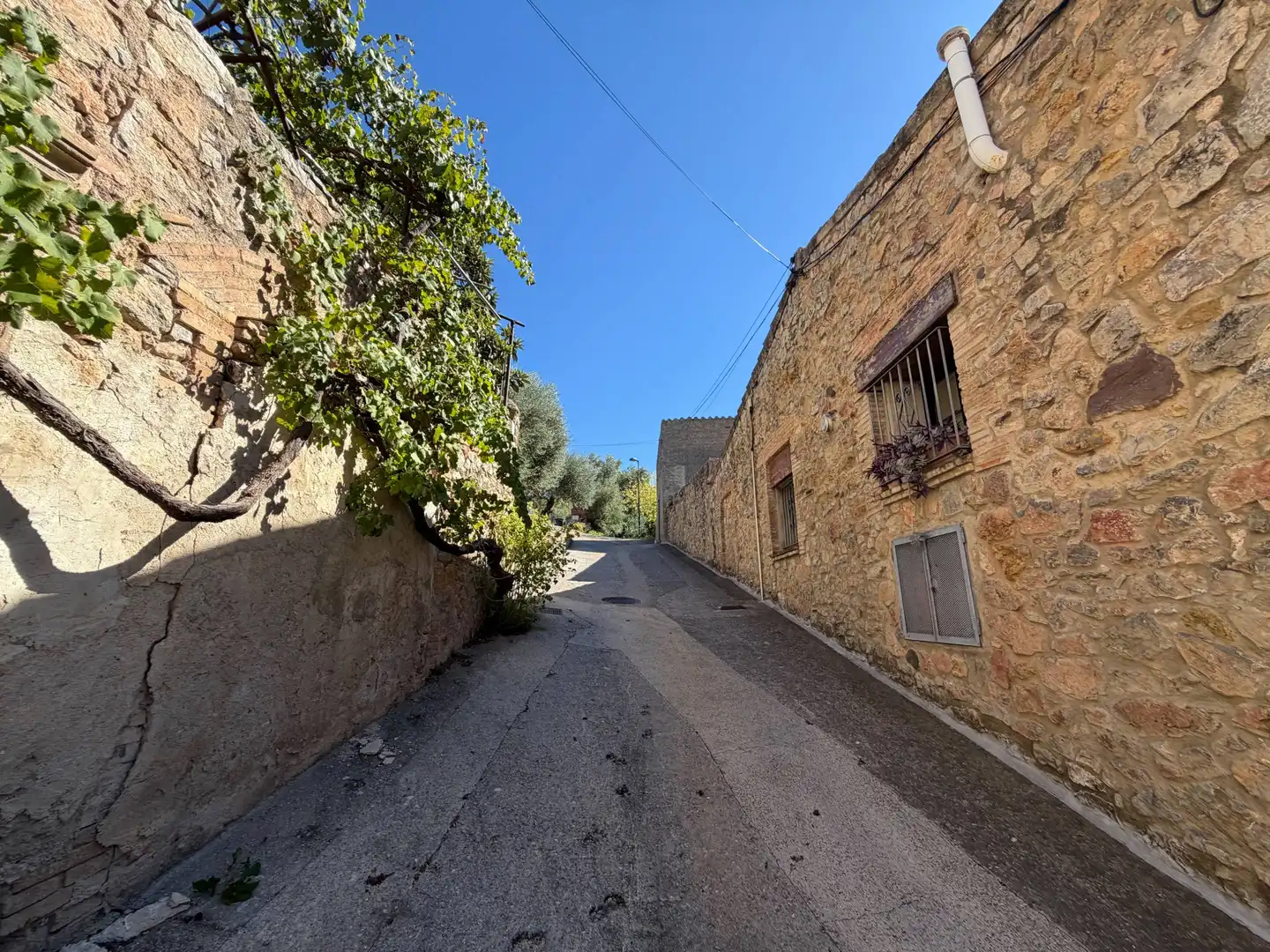Exterior view of Houses for sale in Biure, Girona