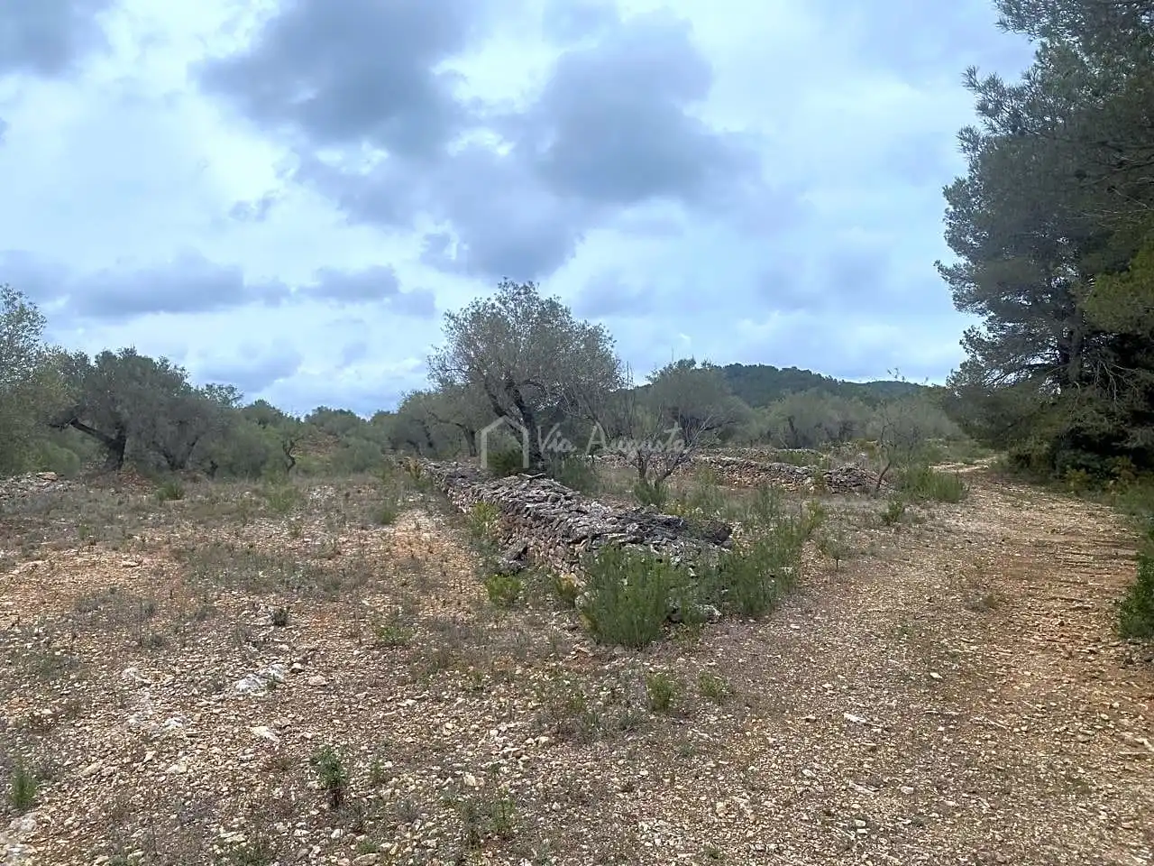 Terreno rustico in vendita a Burga, imagen 14
