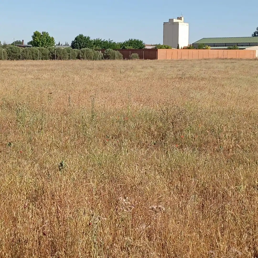 Terreny rústic en venda a Camino del Cuadrado 50, imagen 25
