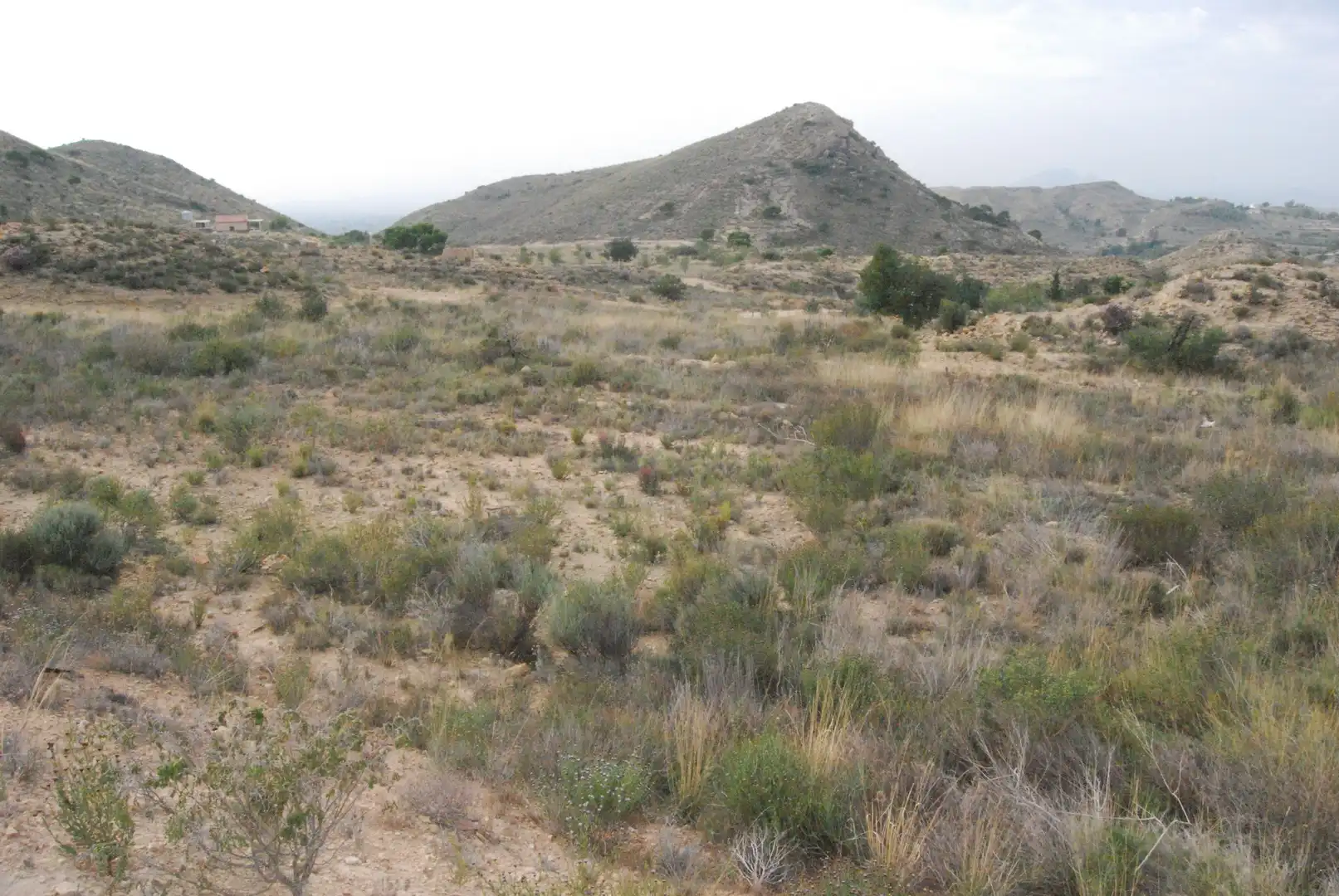 Terreno rustico in vendita a Valle del Sol, imagen 4