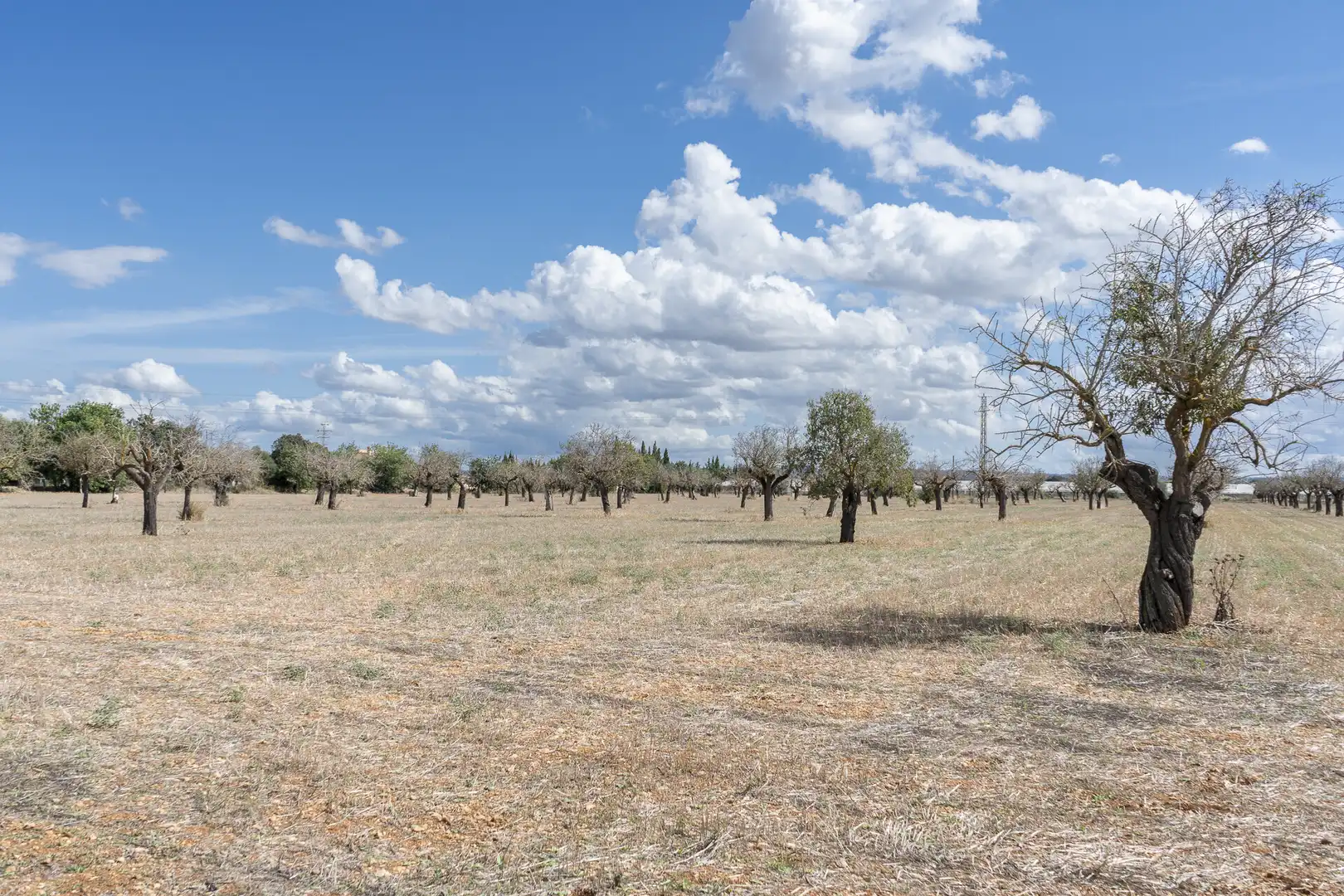 Residential for sale in Binissalem