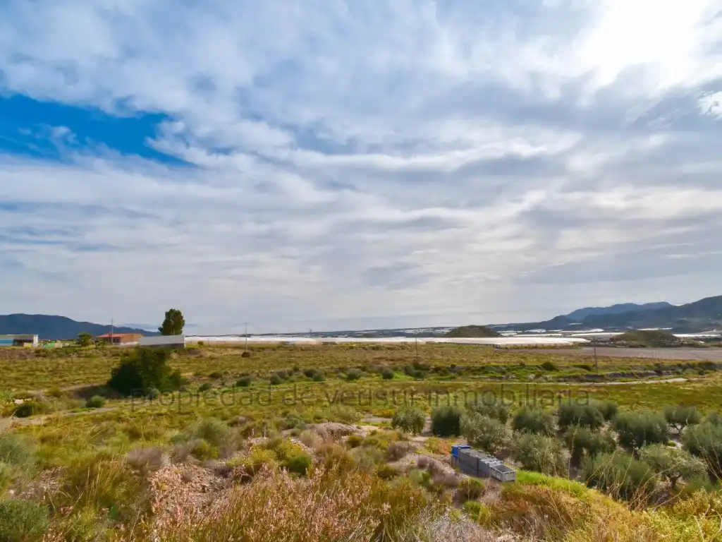 Terreno residencial en venta en Tébar - Los Arejos, imagen 5