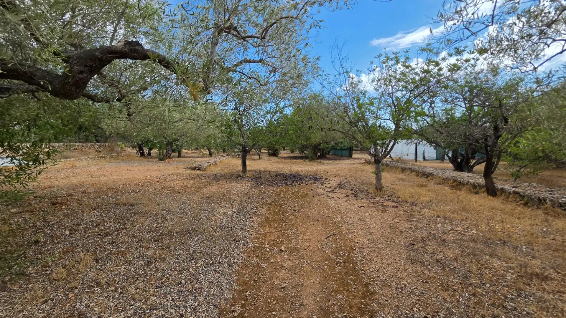 Maison rustique avec piscine à vendre à El Perelló, imagen 43