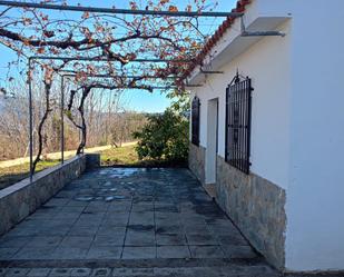 Garden of Country house for sale in Lecrín