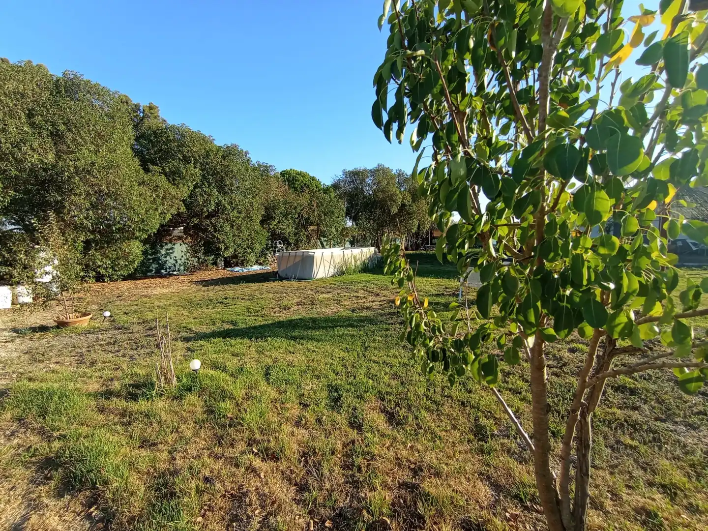 Finca rústica en venda en Chipiona amb Calefacció