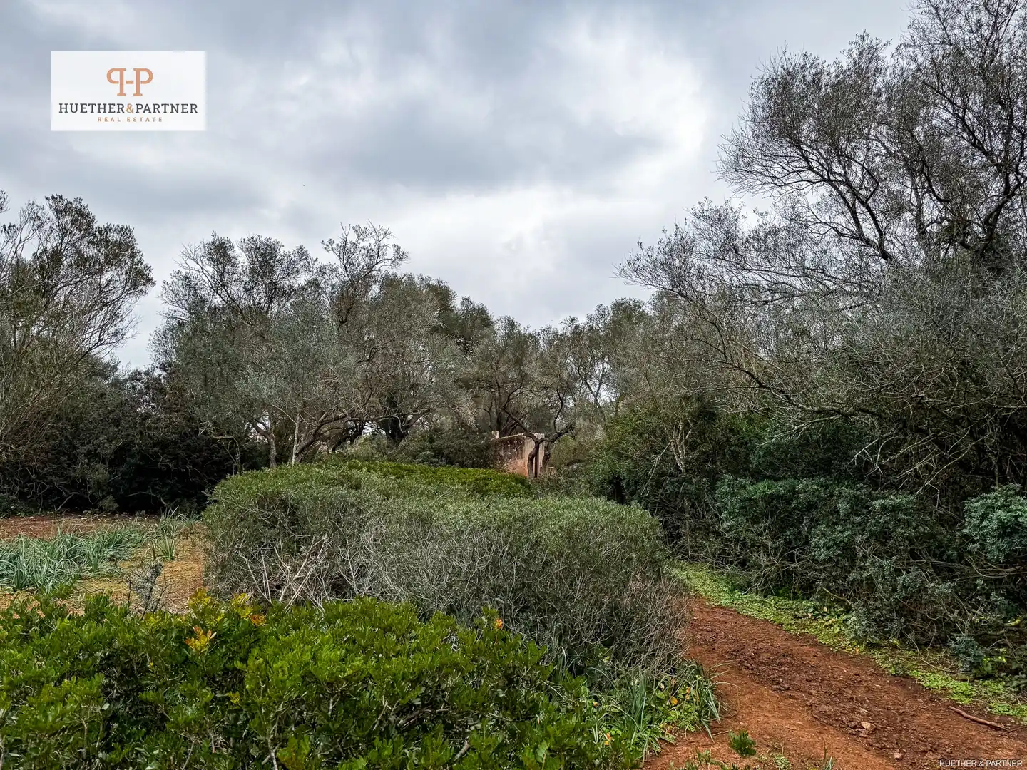 Residential land for sale in Felanitx Poble, imagen 6