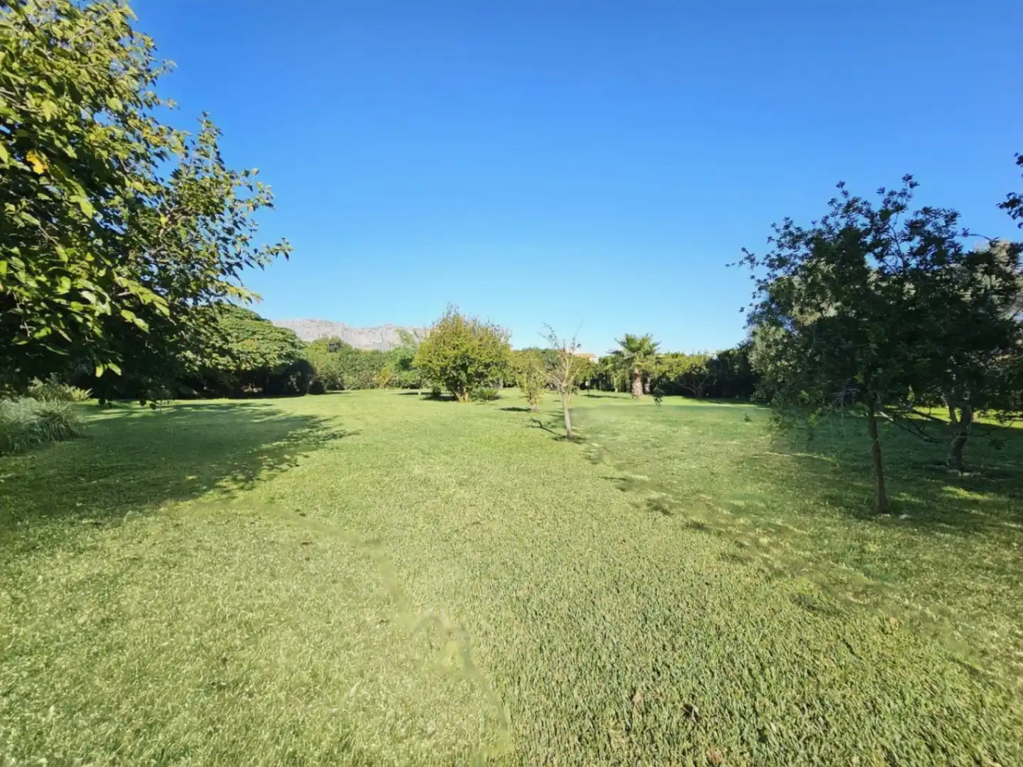 Casa con jardín en venta en Ondara, imagen 31