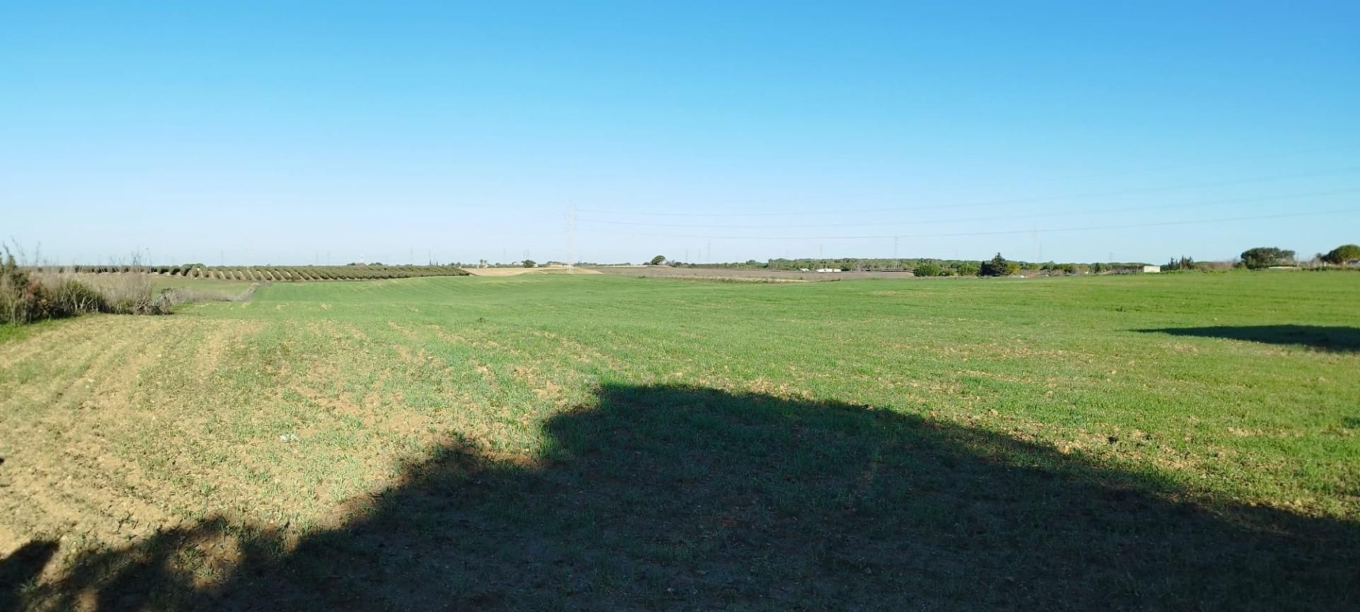 Land for sale in Puerto Real