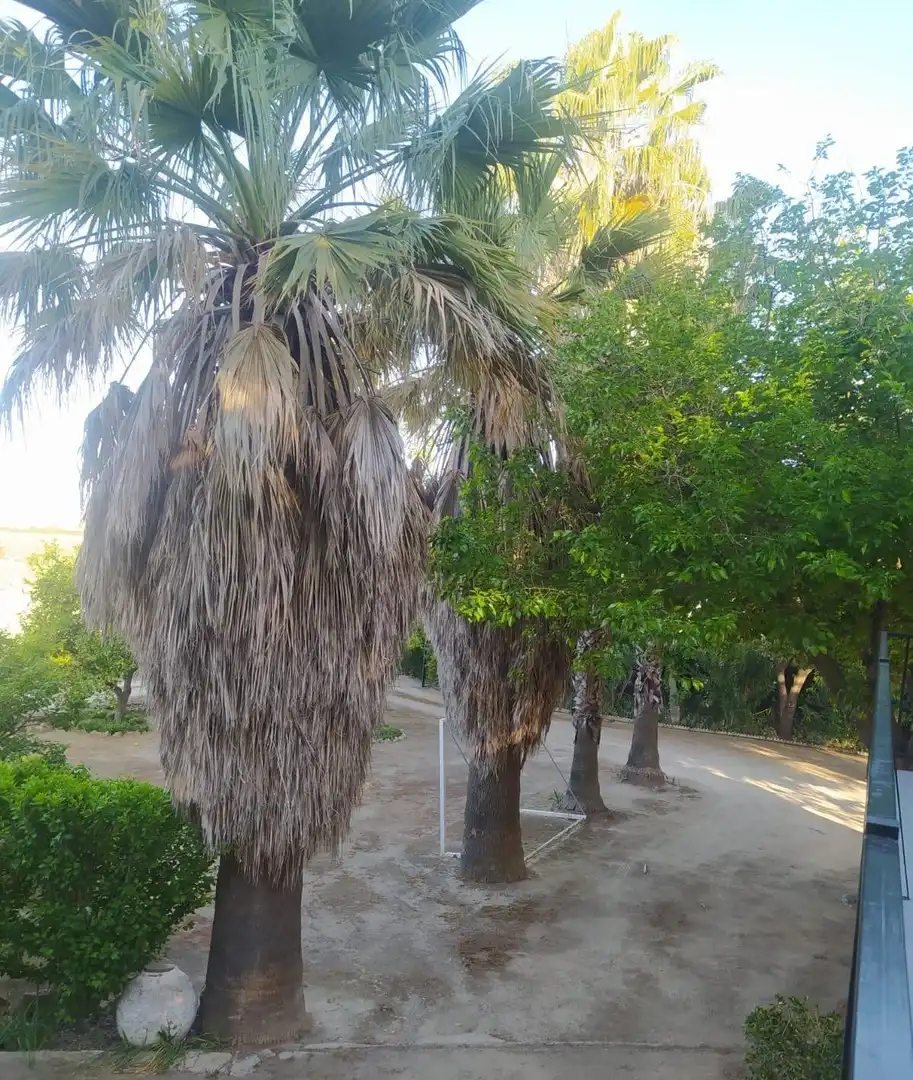 Terreni e lotti in vendita a Villamartín, imagen 33