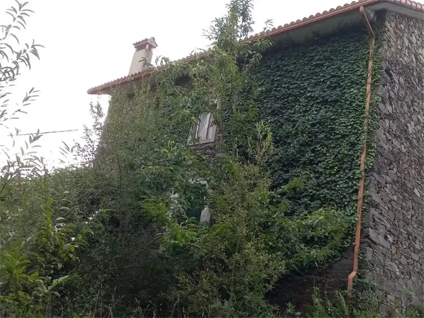 Vista exterior de Casa o xalet en venda en Cerdido