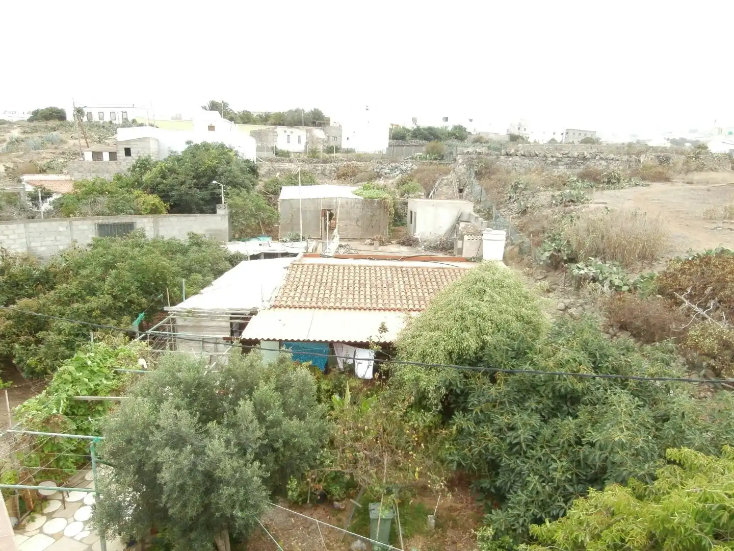 Finca rústica en venda a Camino Frontón, 147, Moya (Las Palmas)