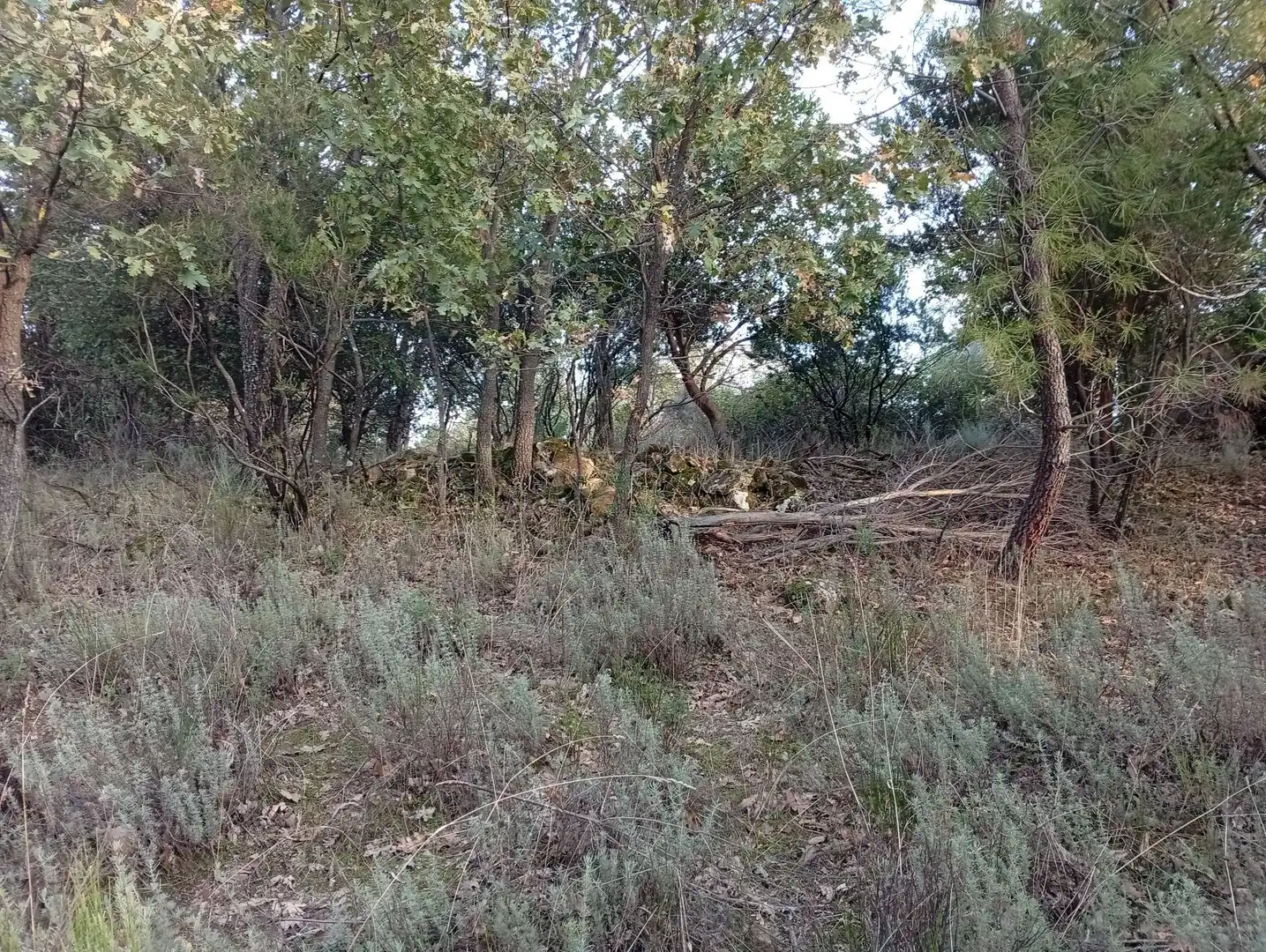 Terreni e lotti in vendita a Villanueva de la Vera, imagen 47