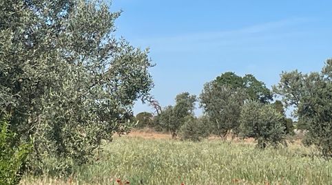 Foto 5 von Grundstücke zum Verkauf in Centro de Especialidades, Ocaña