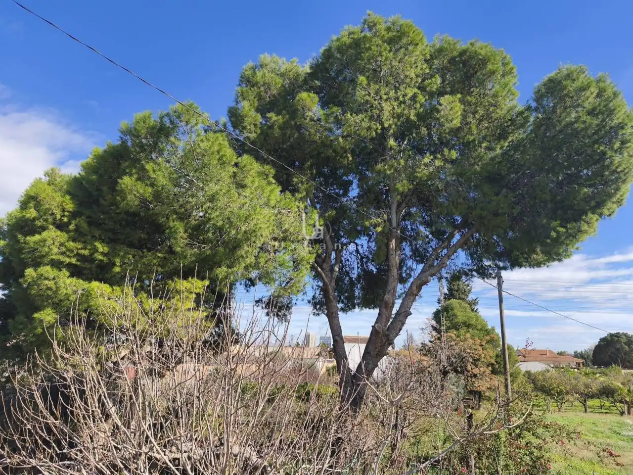 Finca rústica en venta en Murcia con Terraza